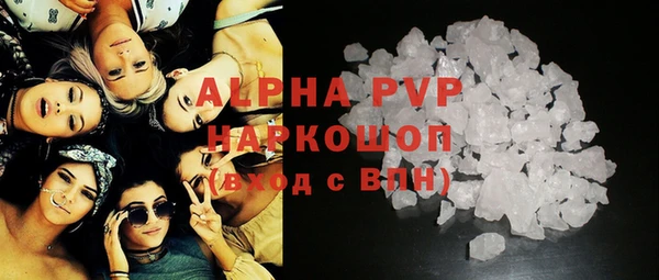 PSILOCYBIN Алзамай